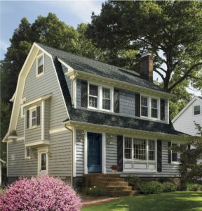 beautiful vinyl siding on a rustic residential home